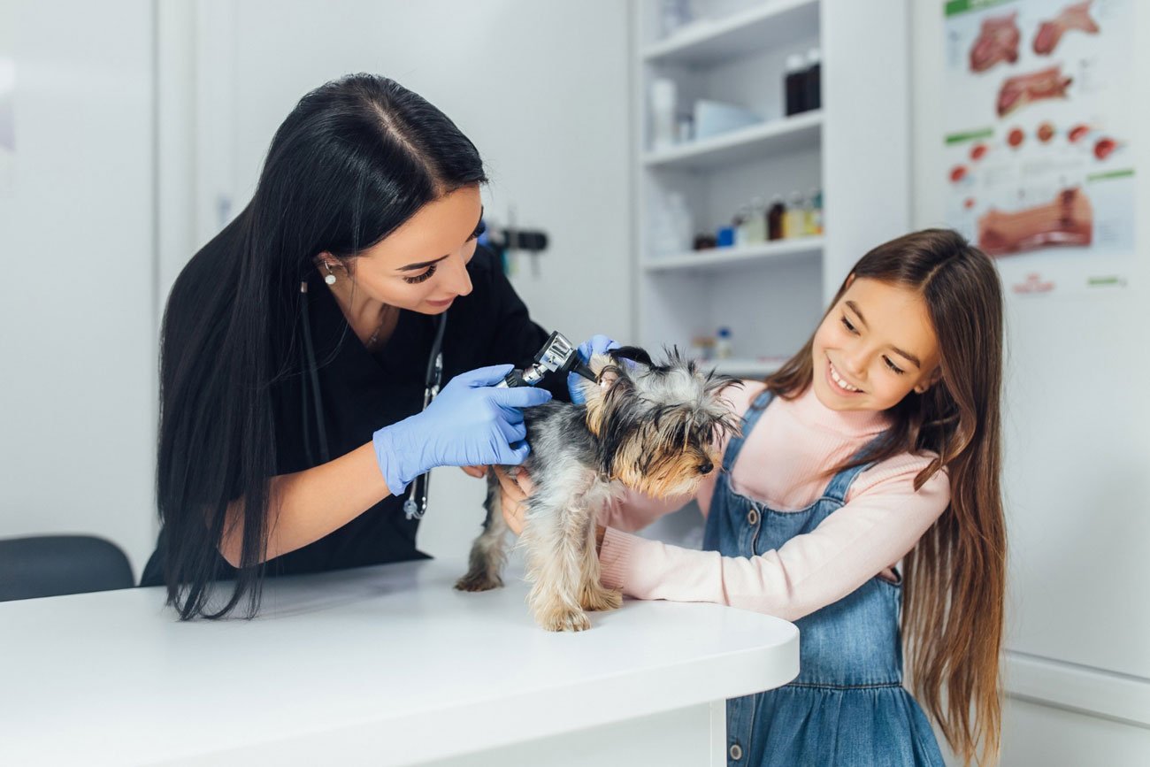 Professional Pet Care Services